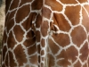Giraffe Butt